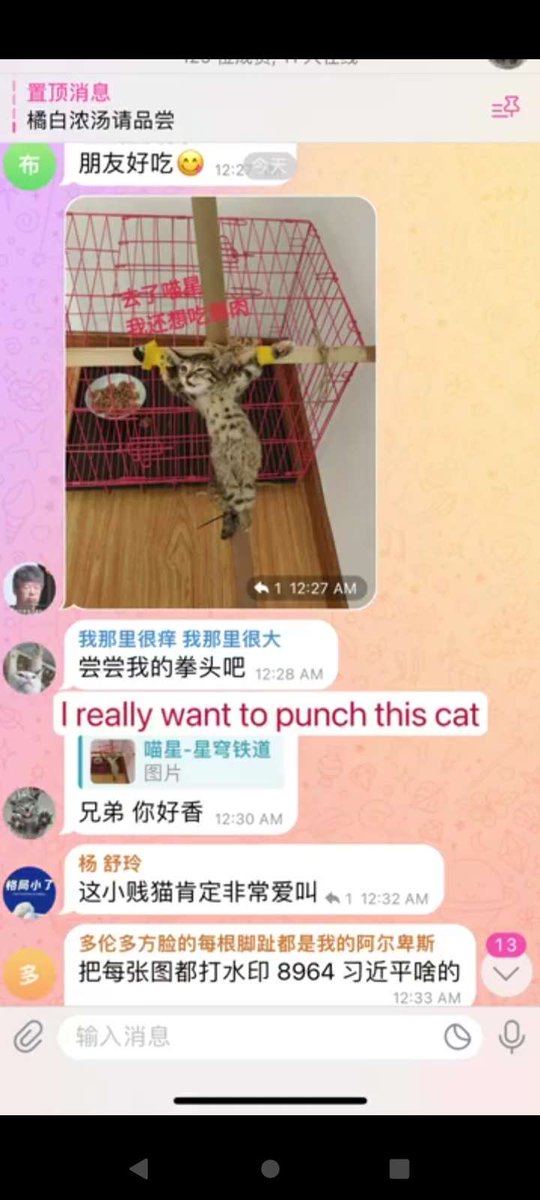 NALJR4DNmels's tweet photo. @nexta_tv Too busy showing off his bod to give a sh*t that sadists from #China have been using @Telegram to share their videos of cat torture for the last 2+ years. Another narcissistic irresponsible money-hungry slimeball. π€¬#BoycottTelegram #BoycottChina #AnimalCruelty
@felineguardians https://t.co/2Q8vHSalVF