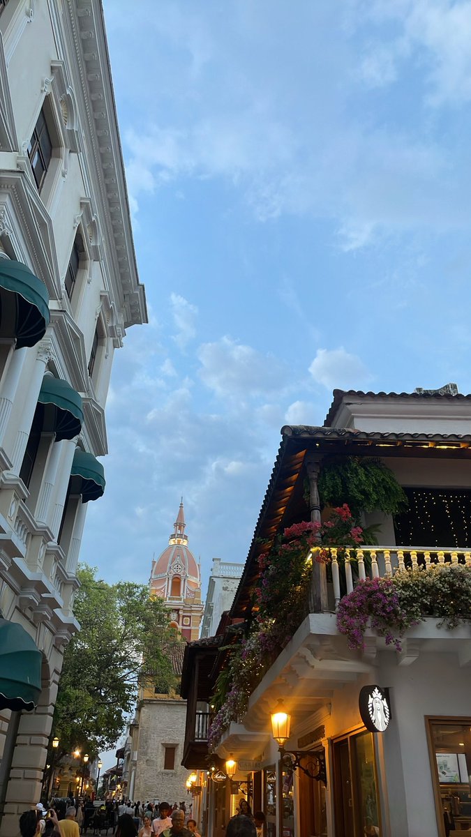 Isa Negrete tweet media