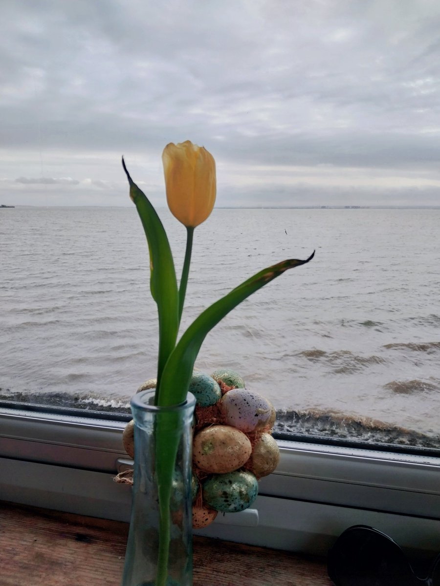 Kat_F76's tweet photo. Happy Easter! 💚 https://t.co/ivxJ4vHry3