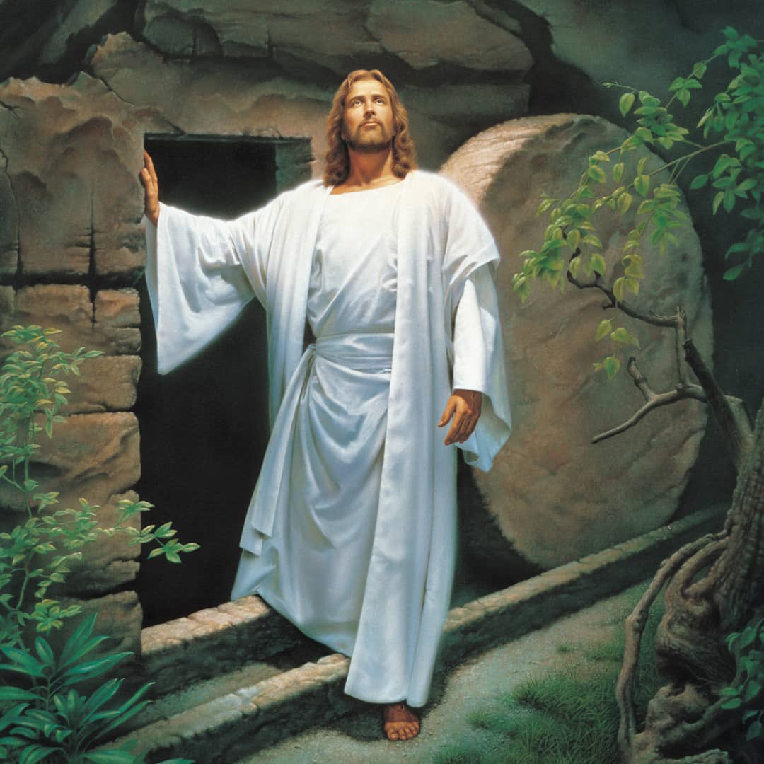 He has risen✝️🕊️