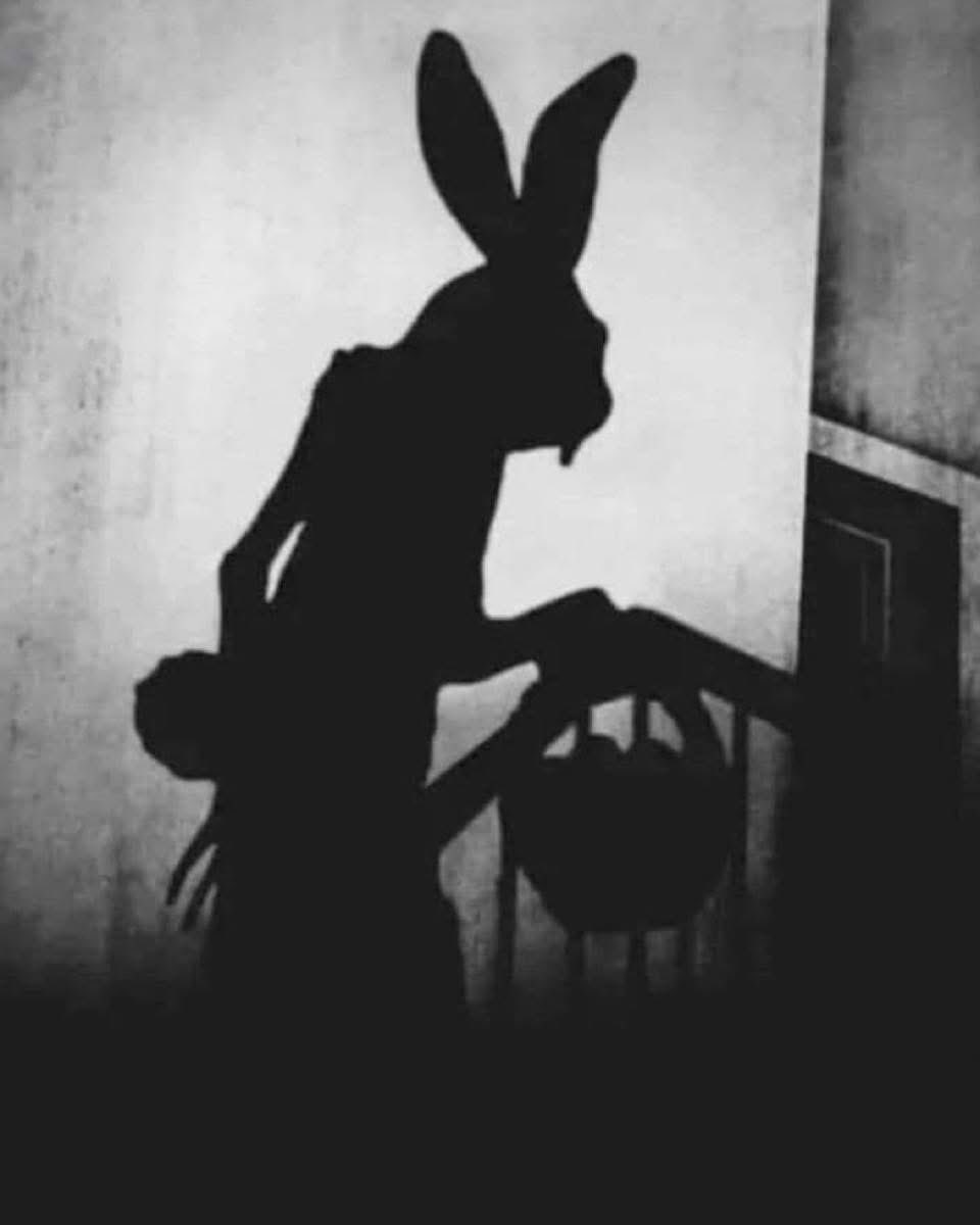 darketing's tweet photo. 🐰🐰🐰🐰 https://t.co/vizdSTWk4y