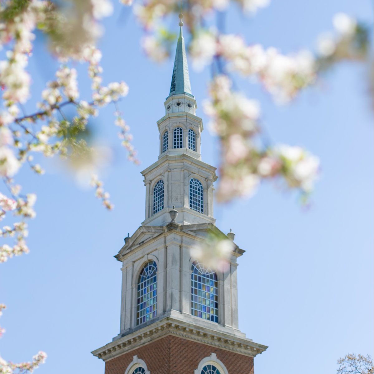 Happy Easter from Samford! Today, we rejoice in the greatest hope of all — Christ is RISEN!

"And he said to them, ‘Do not be alarmed. You seek Jesus of Nazareth, who was crucified. He has risen; he is not here. See the place where they laid him’”- Mark 16:6