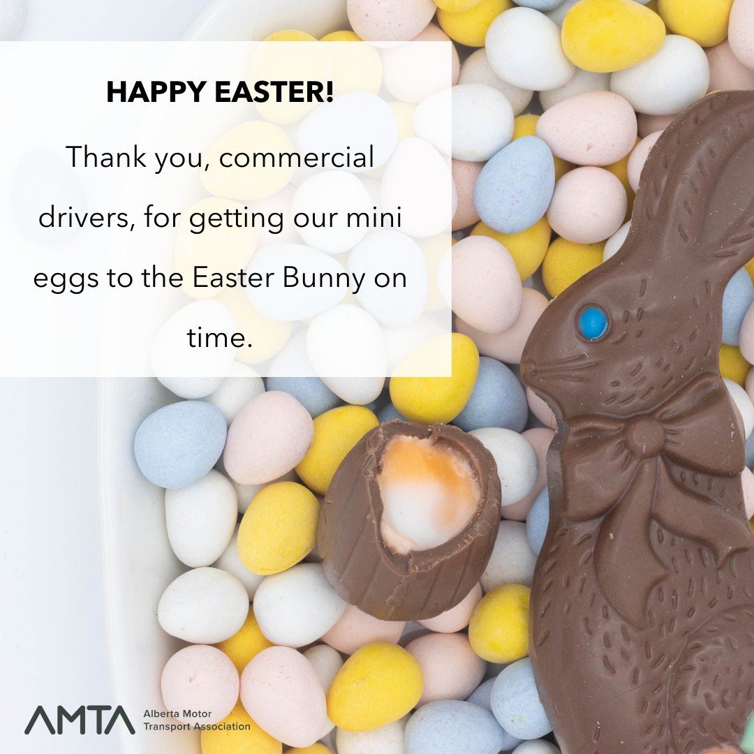 Let's all give a big thank you to our commercial drivers for getting chocolates to the Easter Bunny on time this year. Commercial drivers make Easter egg hunts worth participating in. 
Easter would not be fun without you!
#AMTA #Easterbunny #minieggs