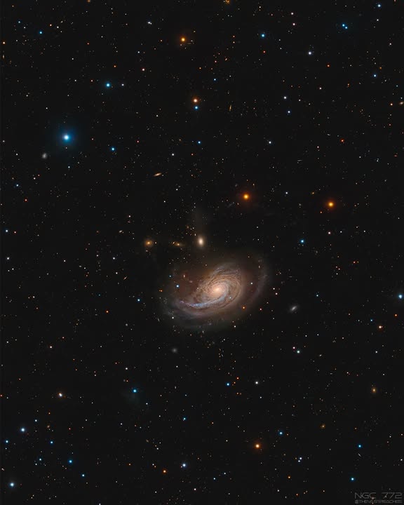 Celestron's tweet photo. 🌌 #NGC772 – The #Fiddlehead
Jason spent 33 hours imaging this faint & fascinating system w/ a #Celestron #EdgeHD 8” — all from his backyard. Despite increasing #lightpollution & the galaxy’s small apparent size, he managed to capture surprising detail. https://t.co/npY9TocElP