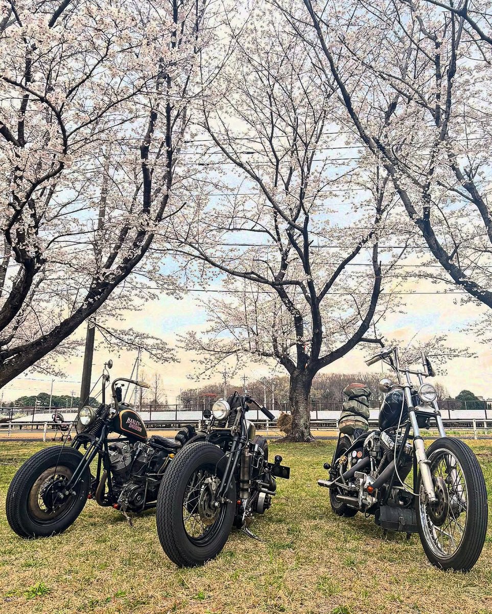 LowbrowCustoms's tweet photo. Spring is in the air, go ride with friends! photo: @yoshita.og #choppershit #ride #ftw #ridewithfriends #choppers #harley #hd #chopperlife #livin https://t.co/d2ZnRF4Ju0