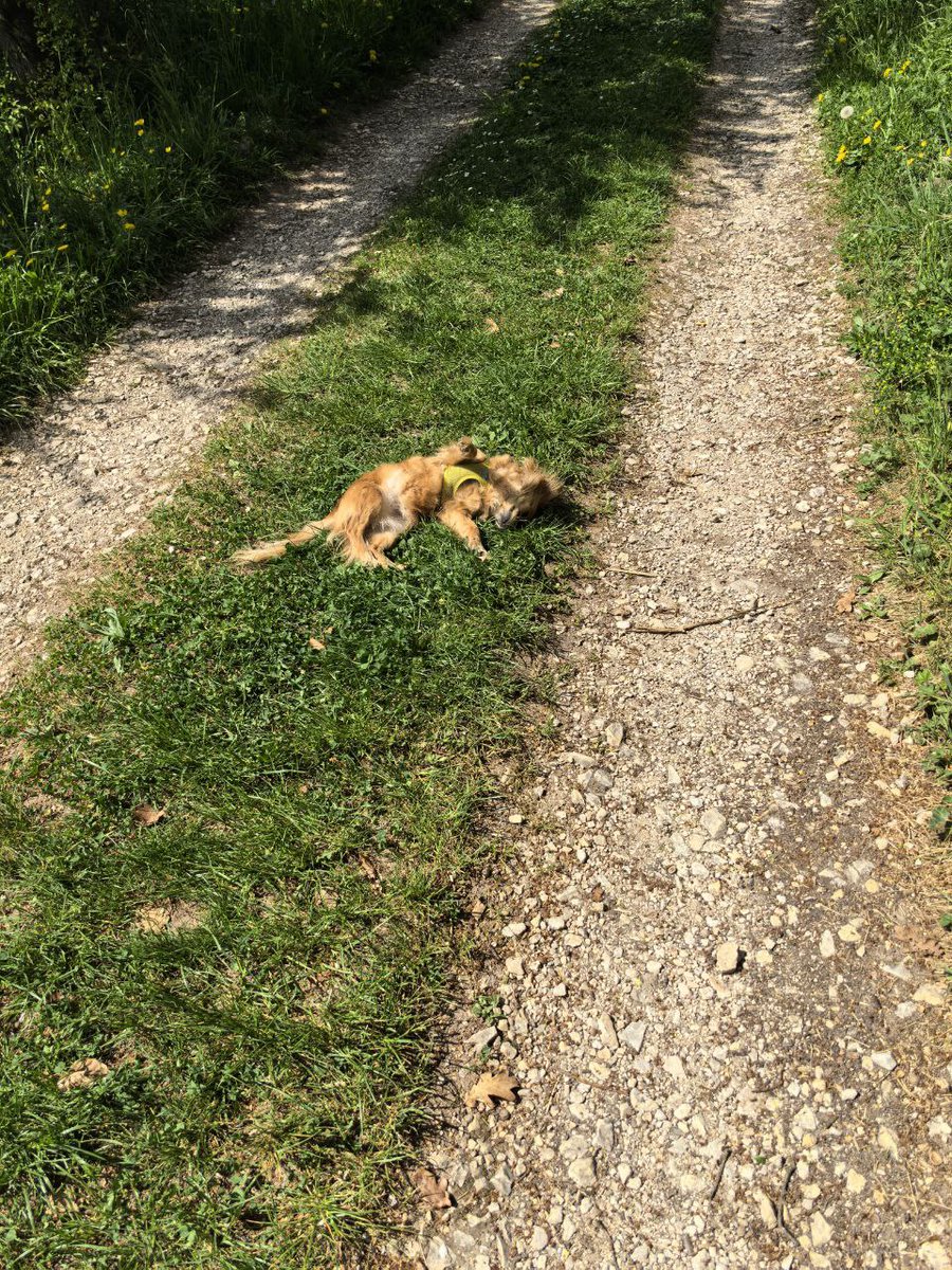 Sie fand es sehr schön in der Sonne 😊