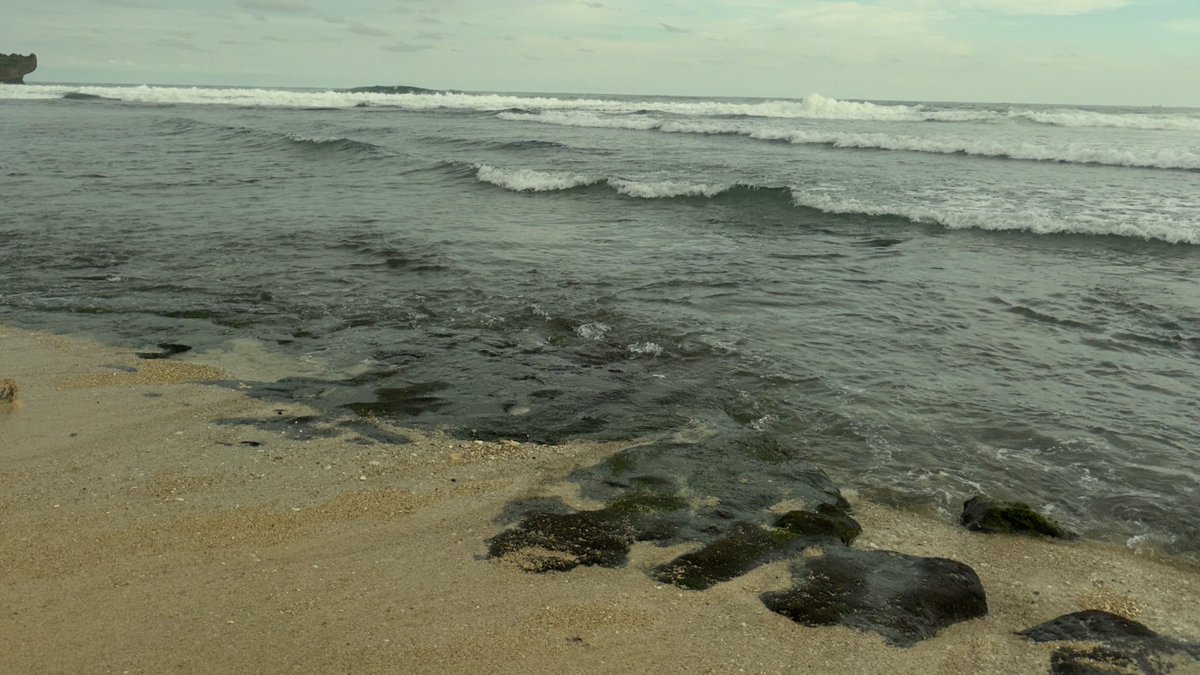 geegorgs's tweet photo. 🌊🌊 https://t.co/z6cRIzHASl