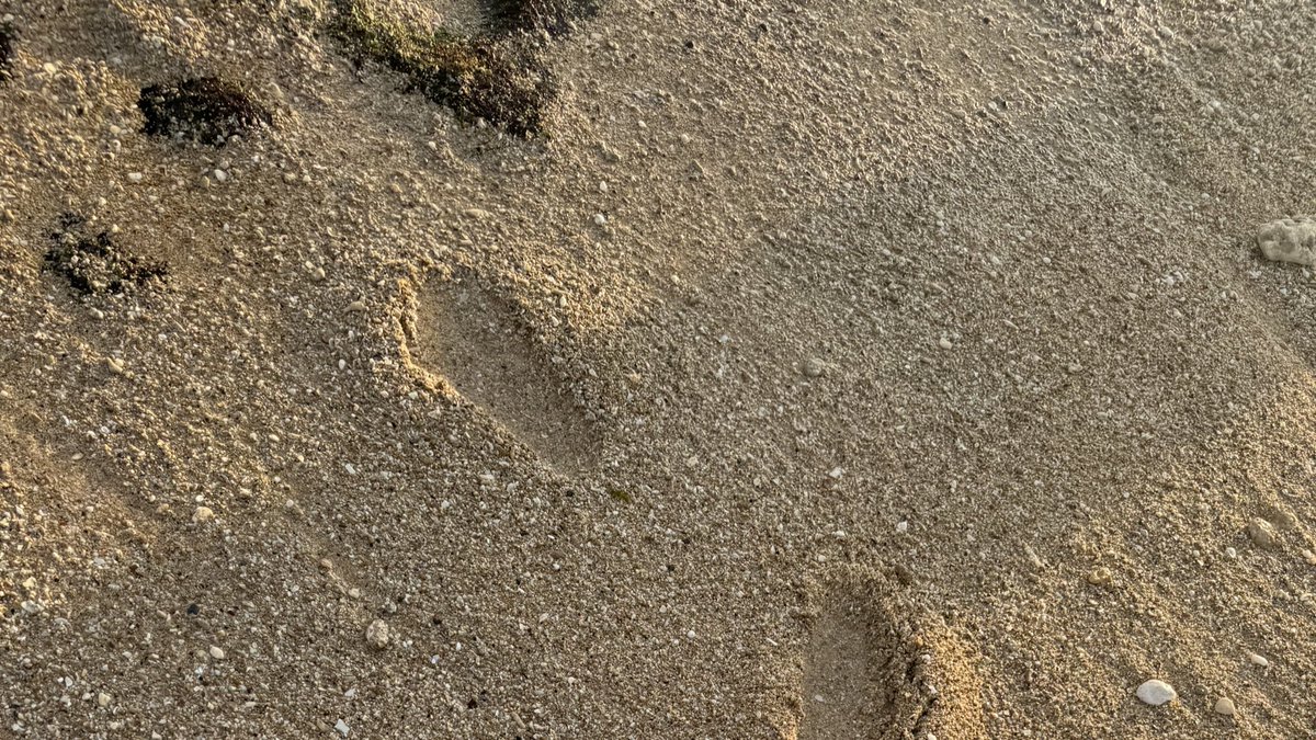 geegorgs's tweet photo. 🌊🌊 https://t.co/z6cRIzHASl