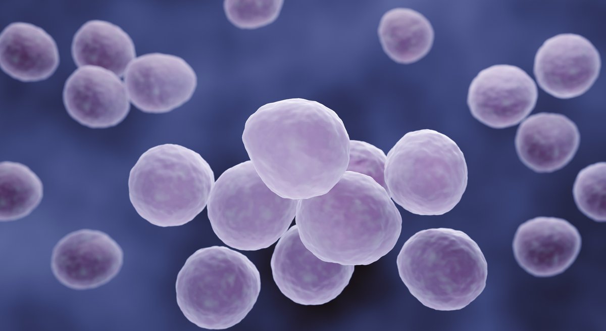 ASMicrobiology's tweet image. In honor of #LabWeek we will be having microbiology games all week! To kick things off, check out these microbial versions the NYT's beloved mini games, Wordle and Connections! #ASMClinMicro #Lab4Life

Wordle: asm.social/2n0
Connections: asm.social/2n1