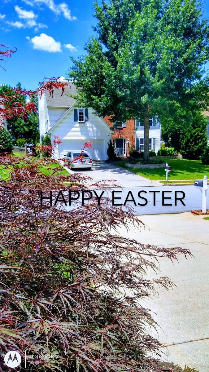 EASTER TIME,
That is one good thing about this world; there are always sure to be more springs.