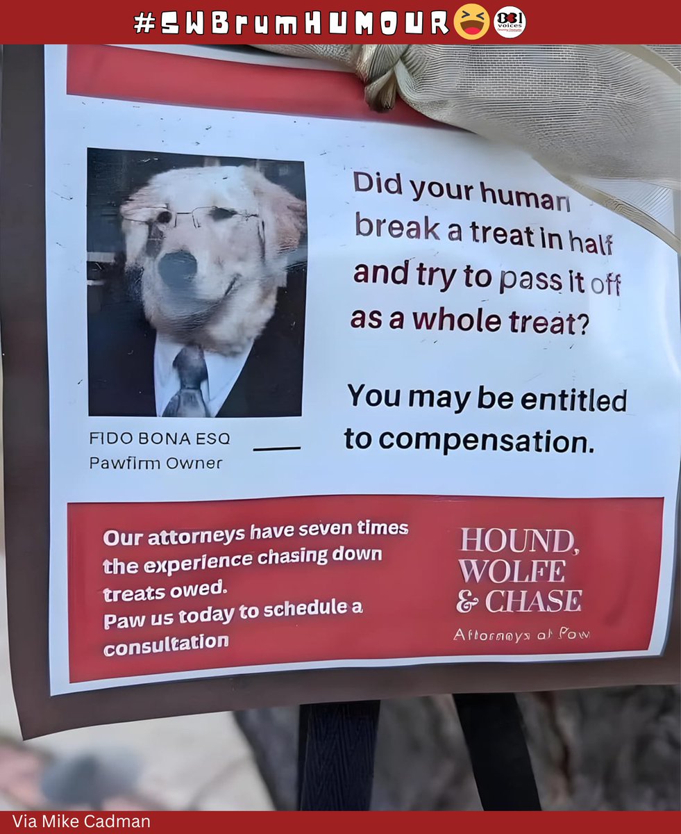 B31Voices's tweet photo. Haha guilty as charged  😳
-

#SWBrumHUMOUR 🤣 
#GuiltyAsCharged
#DogLover
#PetLover
#Birmingham 
#BirminghamUK 
#Bromsgrove
#B31Voices #BVoices https://t.co/9qmJpCA87c