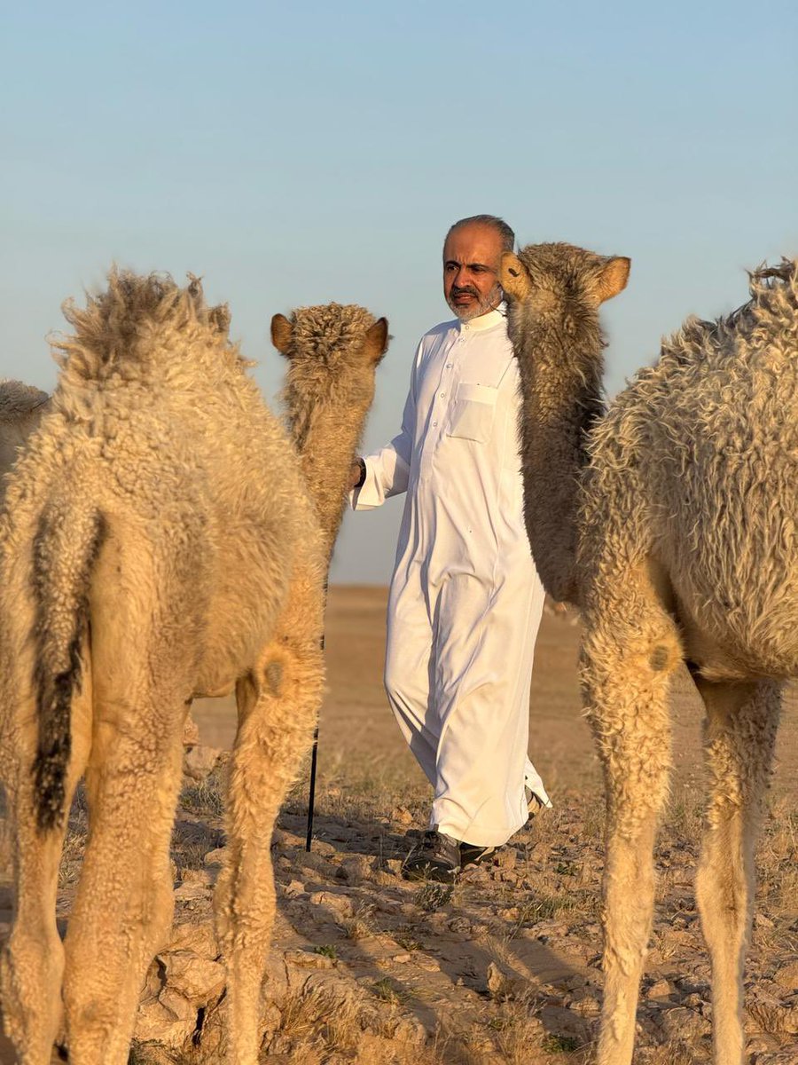 سعود عمر العتيبي ( أخو نجلا ) tweet media