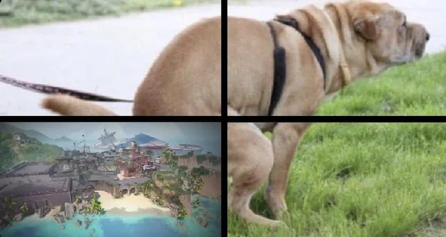 Valorant Updates tweet media