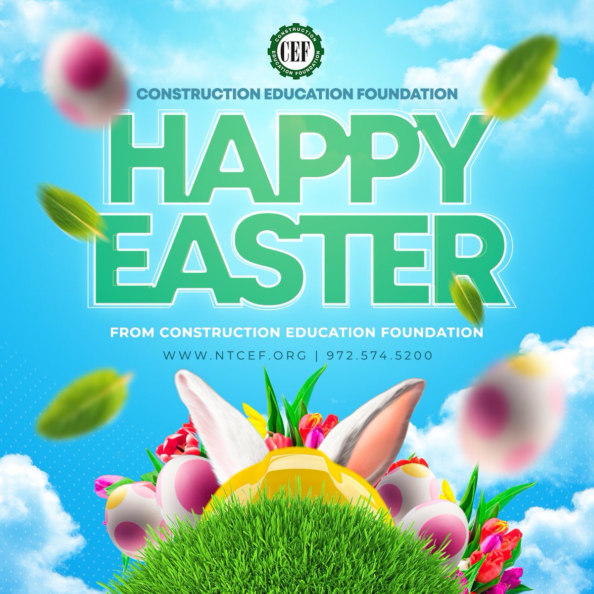 CEF (@ntcef) on Twitter photo 