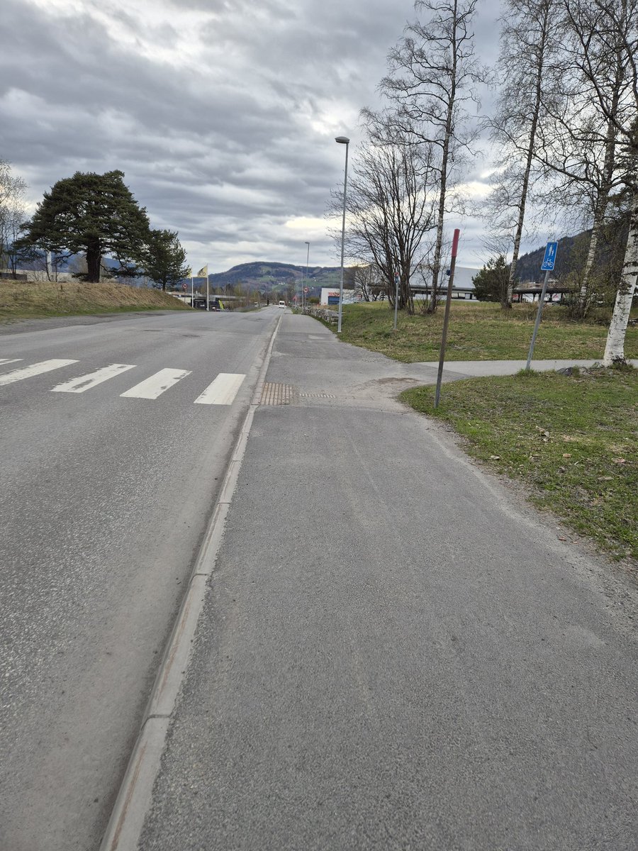 Doramusicana's tweet photo. The stillness during the easter days 🐤💚 #stillness #peaceful #Easter2025 #april #daysaregettinglonger #relaxingwalk #springtrees #emptyroads #myphotoadventures https://t.co/vHQlU7HqhP