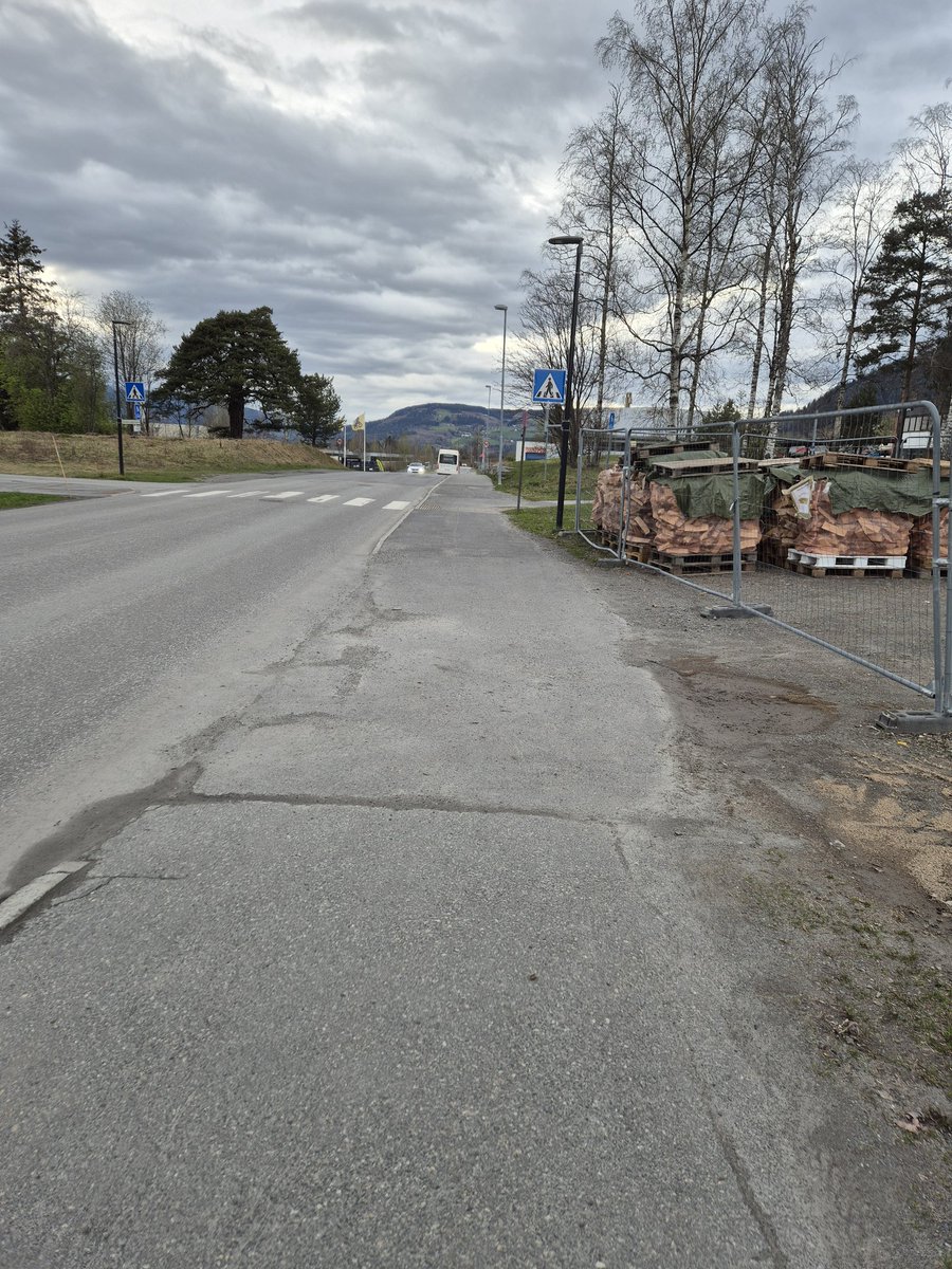 Doramusicana's tweet photo. The stillness during the easter days 🐤💚 #stillness #peaceful #Easter2025 #april #daysaregettinglonger #relaxingwalk #springtrees #emptyroads #myphotoadventures https://t.co/vHQlU7HqhP