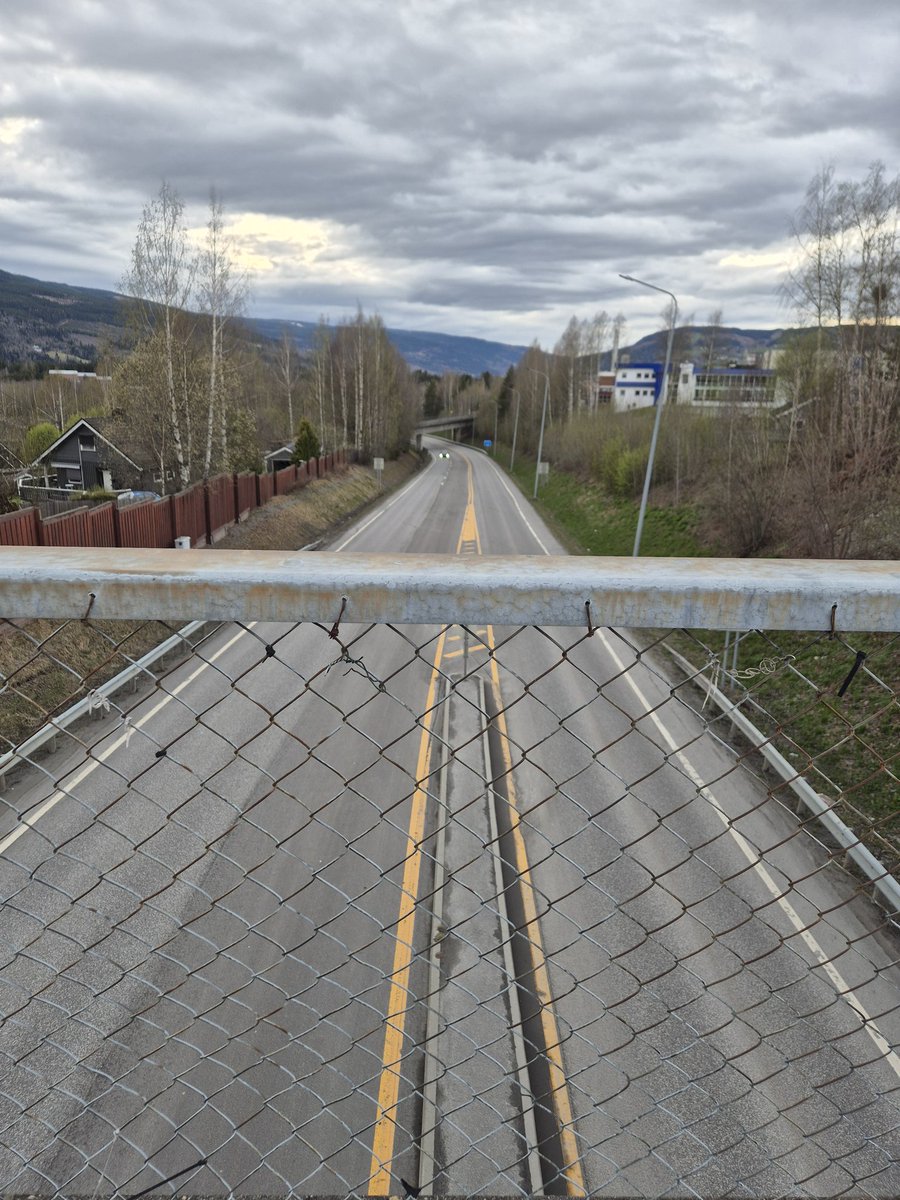 Doramusicana's tweet photo. The stillness during the easter days 🐤💚 #stillness #peaceful #Easter2025 #april #daysaregettinglonger #relaxingwalk #springtrees #emptyroads #myphotoadventures https://t.co/vHQlU7HqhP