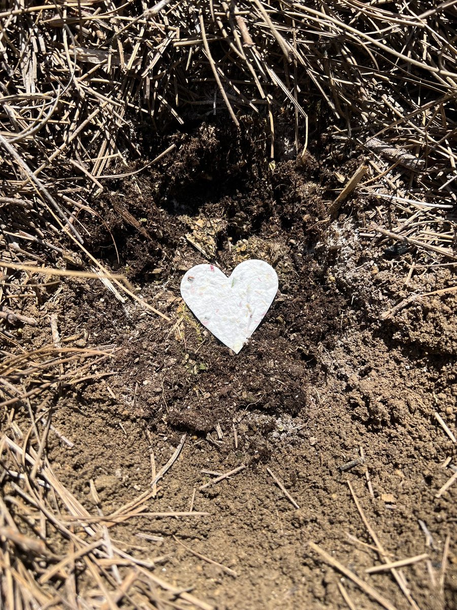 kim_wacker's tweet photo. Happy Easter! 🐰 

I may not have any income, or a plan for my future, but what I do have is my family, my fur baby 🐶, and my faith. 🙏🏼

R.I.P. O’Malley Wacker. 🐈 

#heisrisen #easter #happyeaster #faith #hope #believe https://t.co/w4MEE9mmSJ
