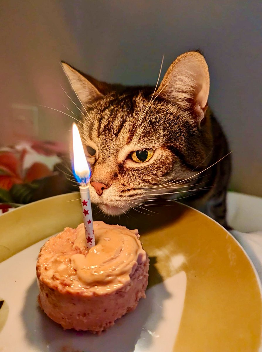 Isabelle Chataignier tweet media