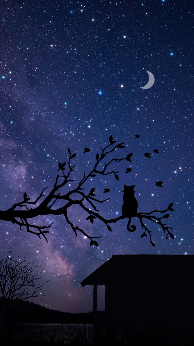 Indic_wallpaper's tweet photo. Owl staring Starry night

#Wallpapers4k #nightsky #nightlife https://t.co/2tHrGP7Kxs