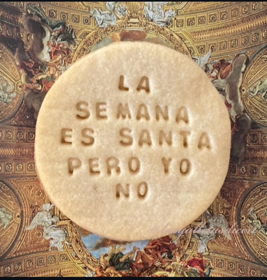 🌼 Margarita 🌼 tweet media