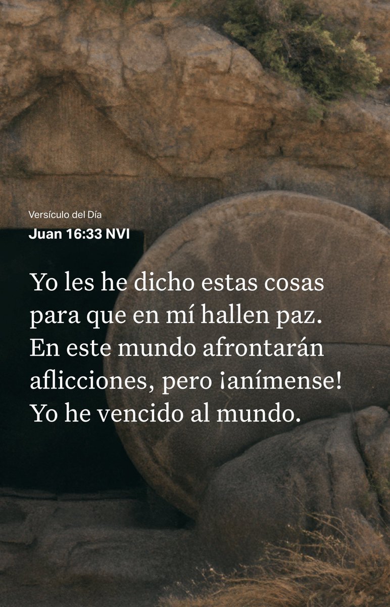 Ana_CeciliaSP's tweet photo. https://t.co/tkBS5lmZ0E