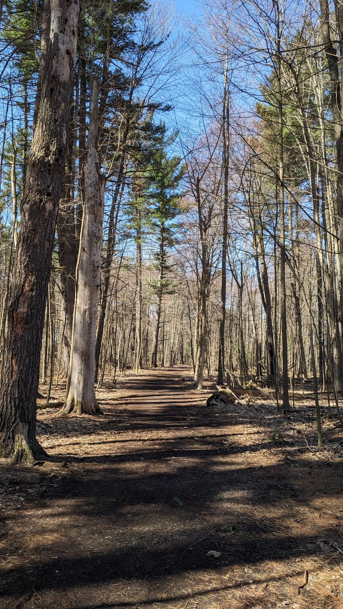 Sunday trails☀️