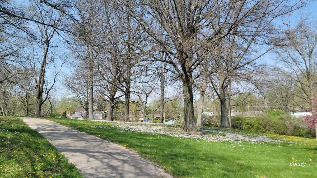 It's a beautiful day. Weather forecast was rain all weekend long. I planned accordingly. Missed out on a beautiful day outside.