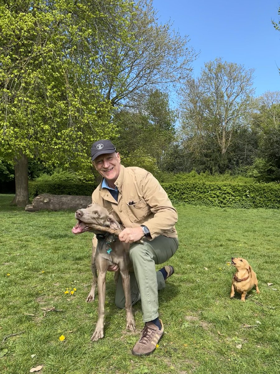 italyatitsbest's tweet photo. Easter walk with Oat and Otto! #weimaraner #dogs #antoniotomassini https://t.co/3FoiQCxAwK