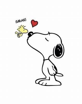 ˖⁺‧₊˚♡˚sainz snoopy ˚♡˚₊‧⁺˖ (@csainzsnoopy) on Twitter photo 