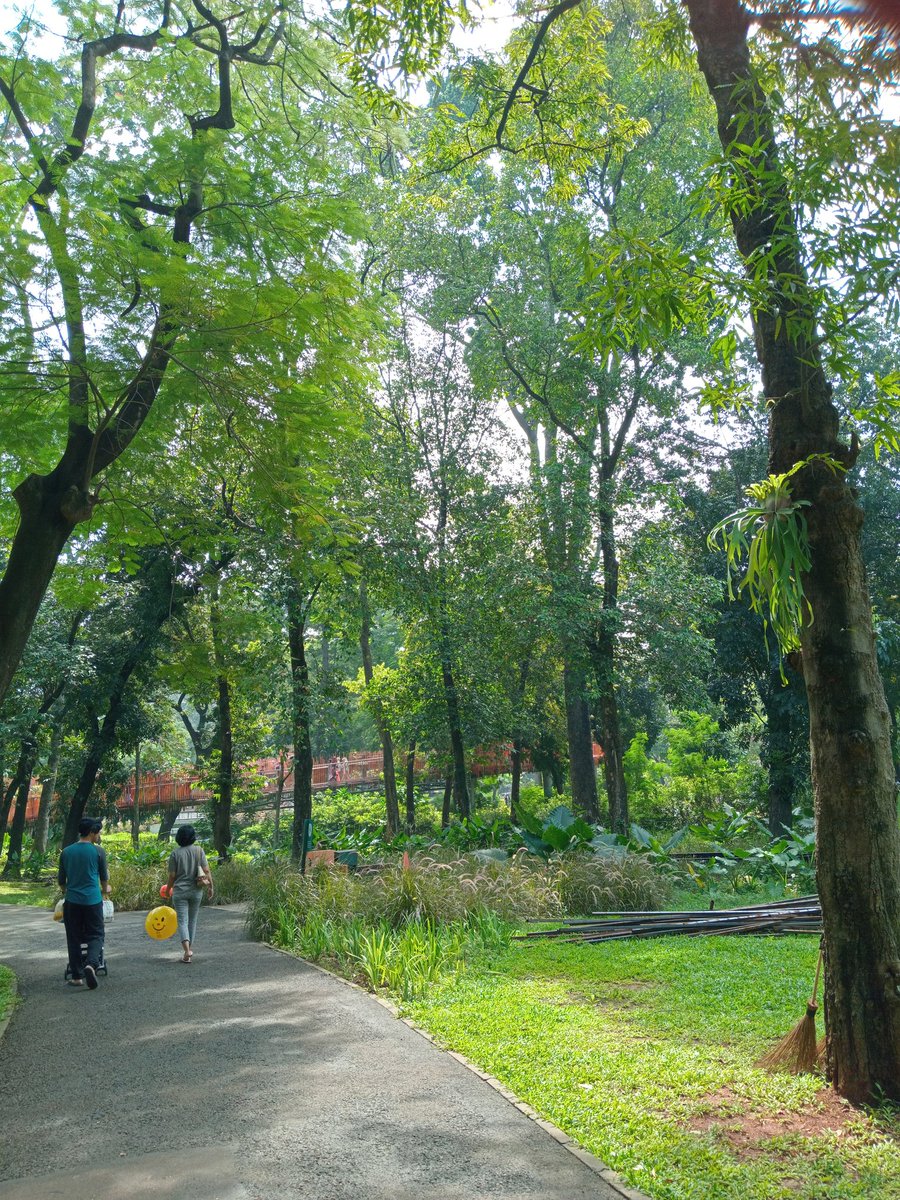 Sibuk meromantisasi hidup. 📚😼