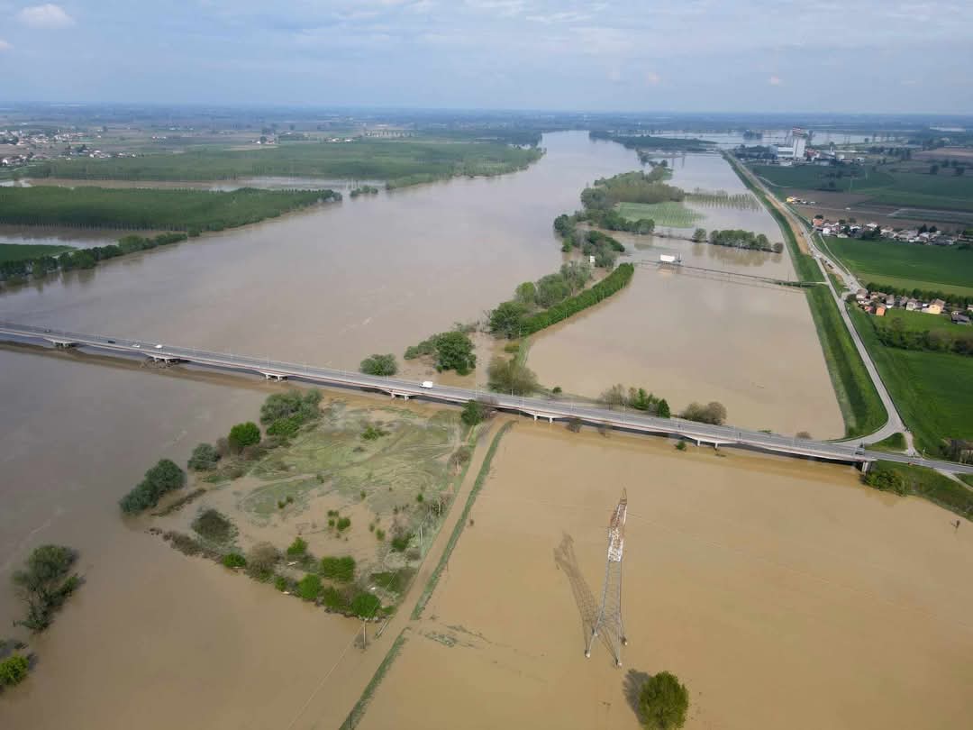 Kurosh74 tweet media