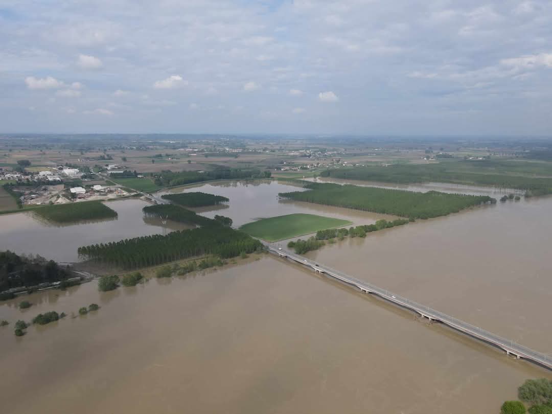 Kurosh74 tweet media