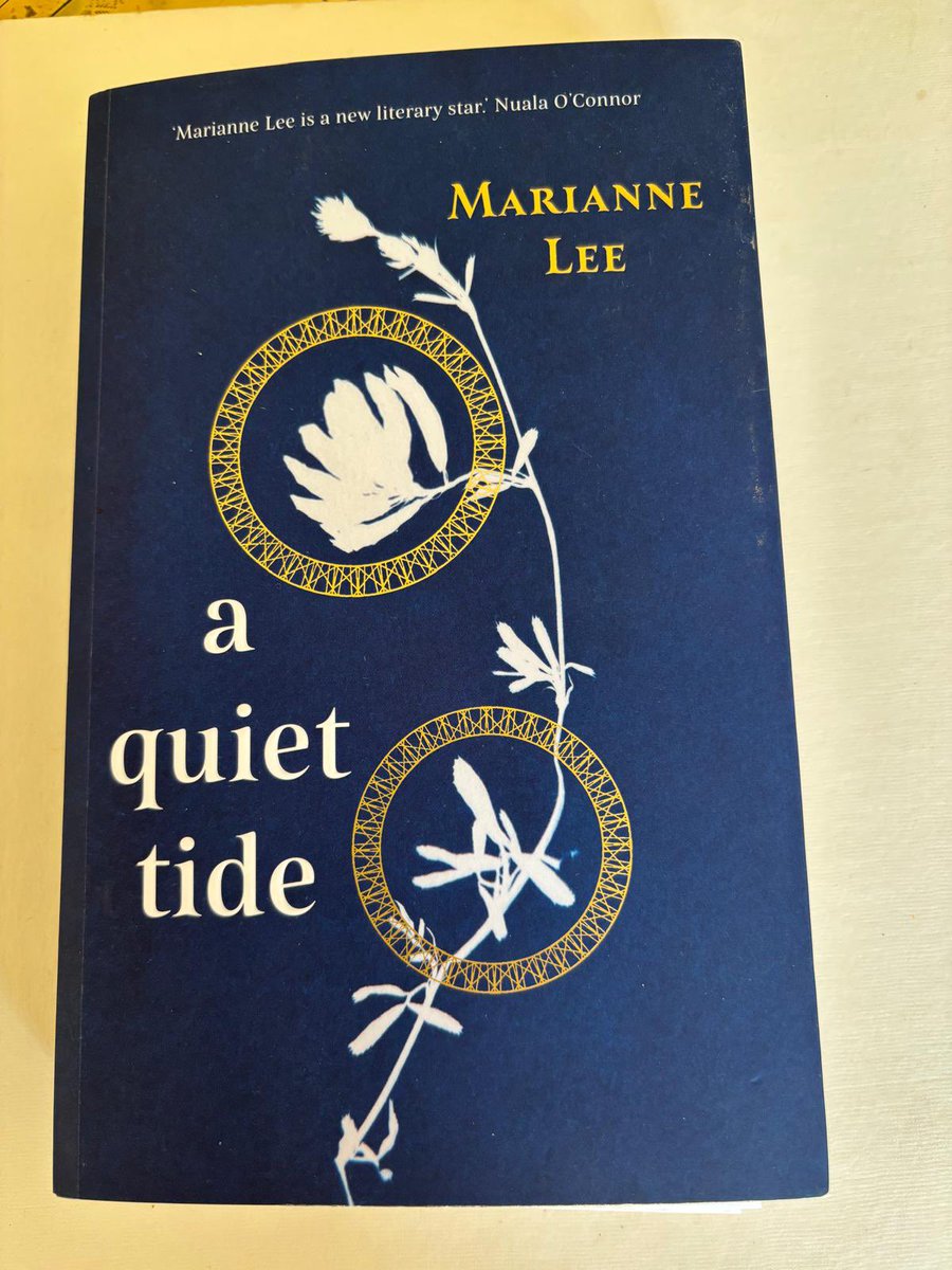 Read Irish Women Challenge 2025: 
Day 20: A book about a figure lost to history - A Quiet Tide by Marianne Lee 

#readirishwomen #books #irish #womenwriters #authors #readmorebooks