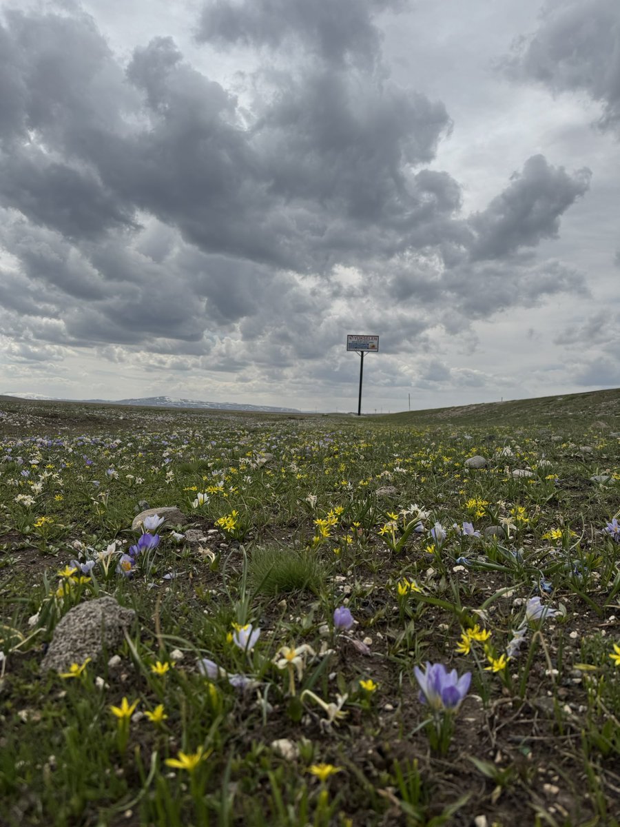 cckveysl's tweet photo. Mutlu pazarlar 🌾 https://t.co/GfzuGb51NX