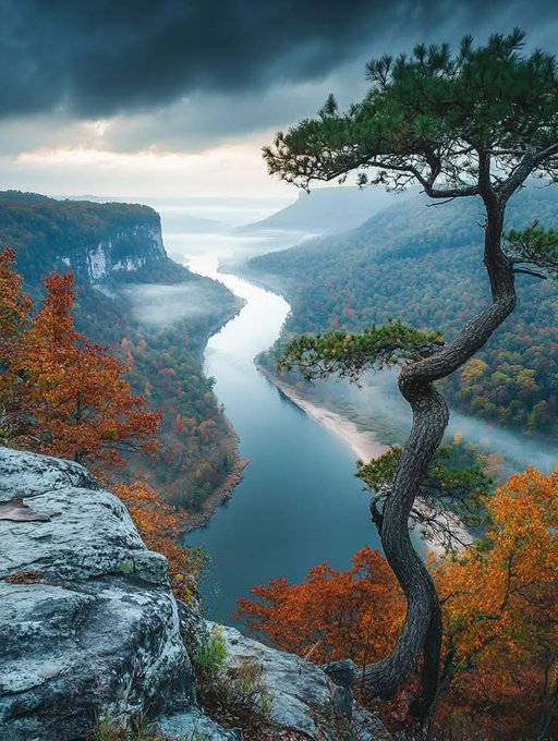 Tennessee River Gorge
