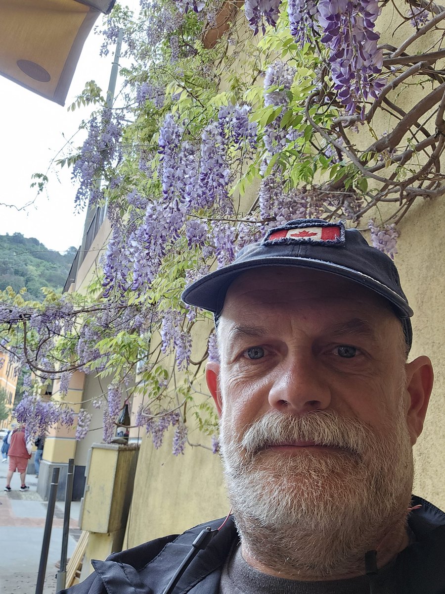 Wisteria showing off some early color today