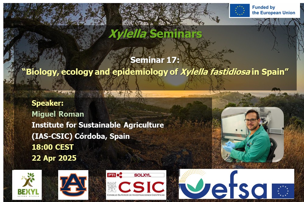 PTI-SolXyl tweet media