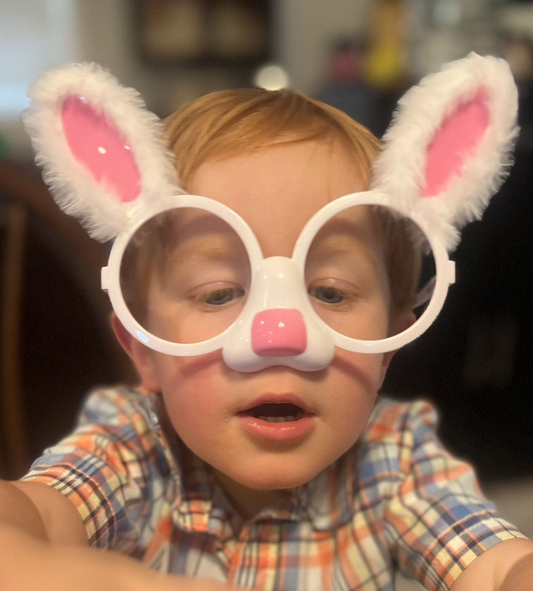 Beth Ann Nichols tweet media