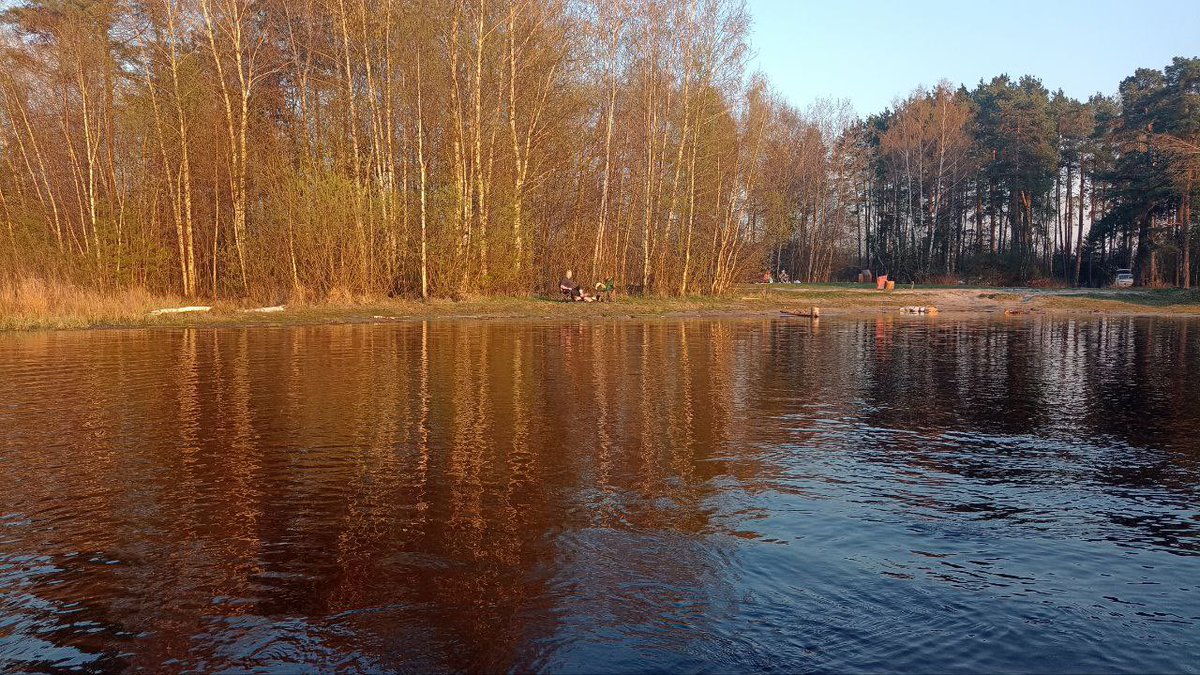 pro_papu's tweet photo. Папа открыл купальный сезон на Ласковском https://t.co/6iVVb6Yg8h