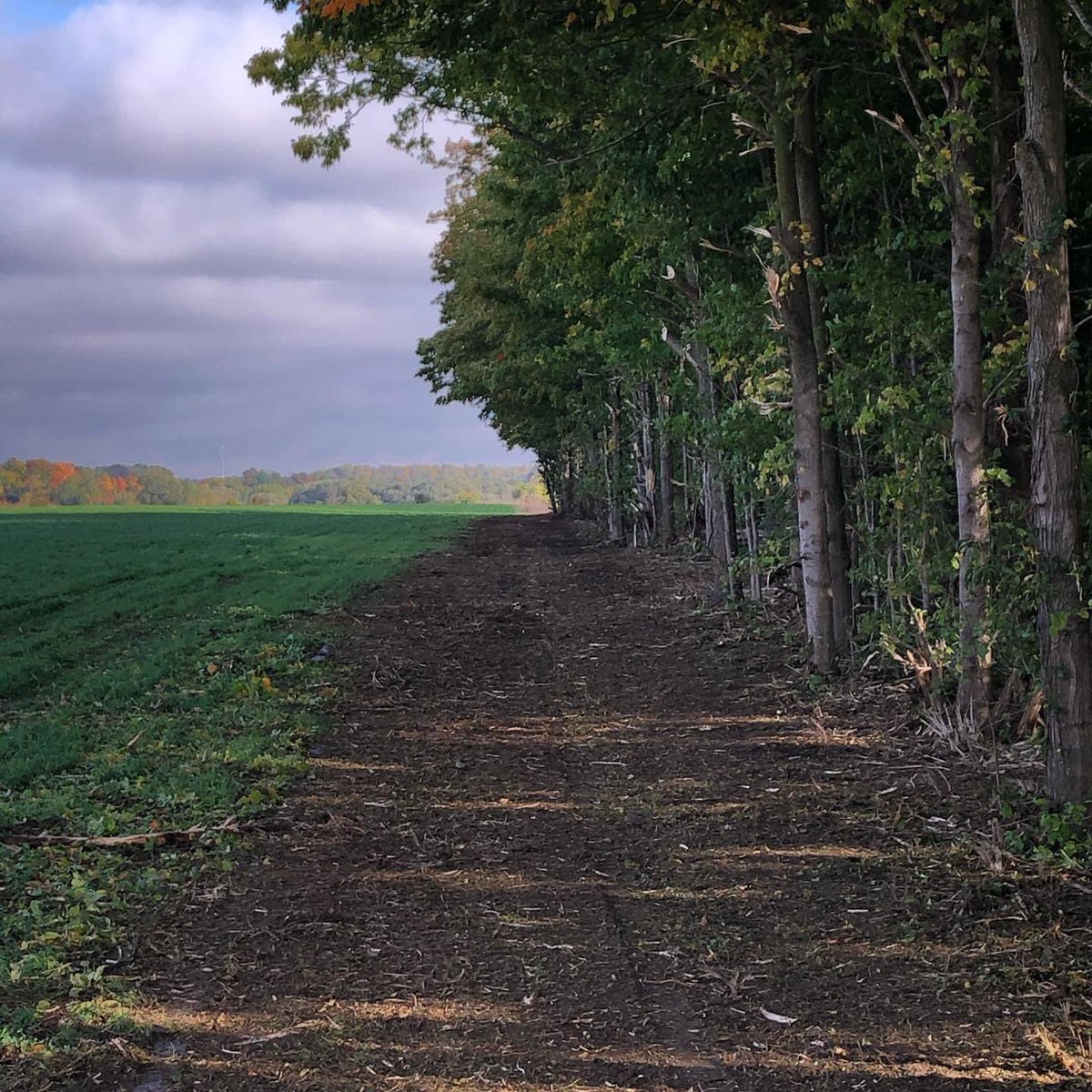 swbrushcontrol's tweet photo. Give us a call to have your field edges taken back. We have all the tools in the tool box to have the job done right.
519-808-7922 https://t.co/b2fj5rDTap