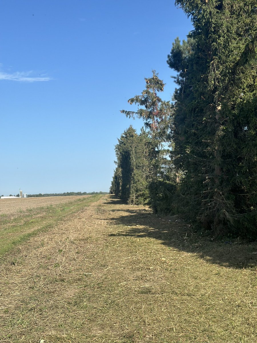swbrushcontrol's tweet photo. Give us a call to have your field edges taken back. We have all the tools in the tool box to have the job done right.
519-808-7922 https://t.co/b2fj5rDTap