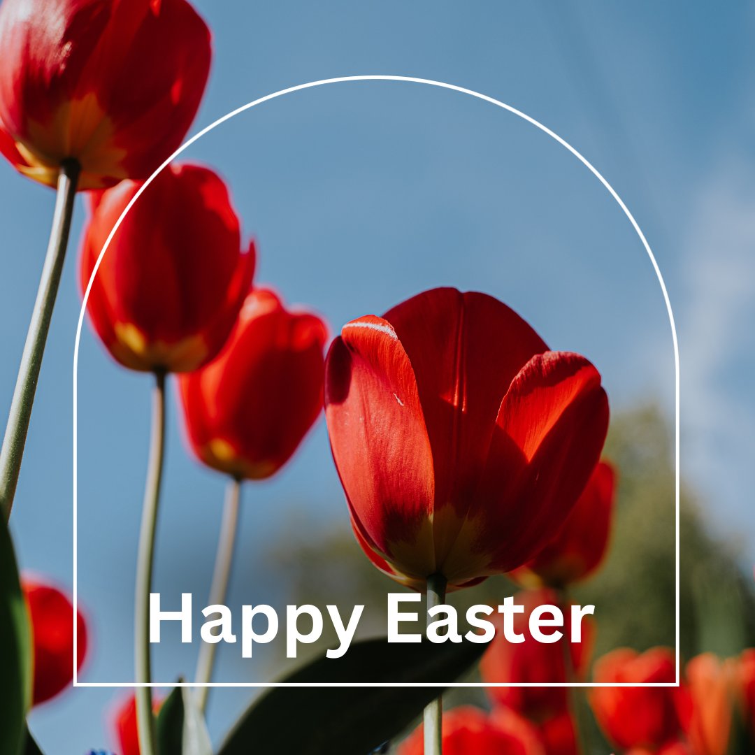 ACHoops74's tweet photo. Happy Easter to you and your family! Hope your day is filled with celebration and special moments. https://t.co/JbyEliYY0R
