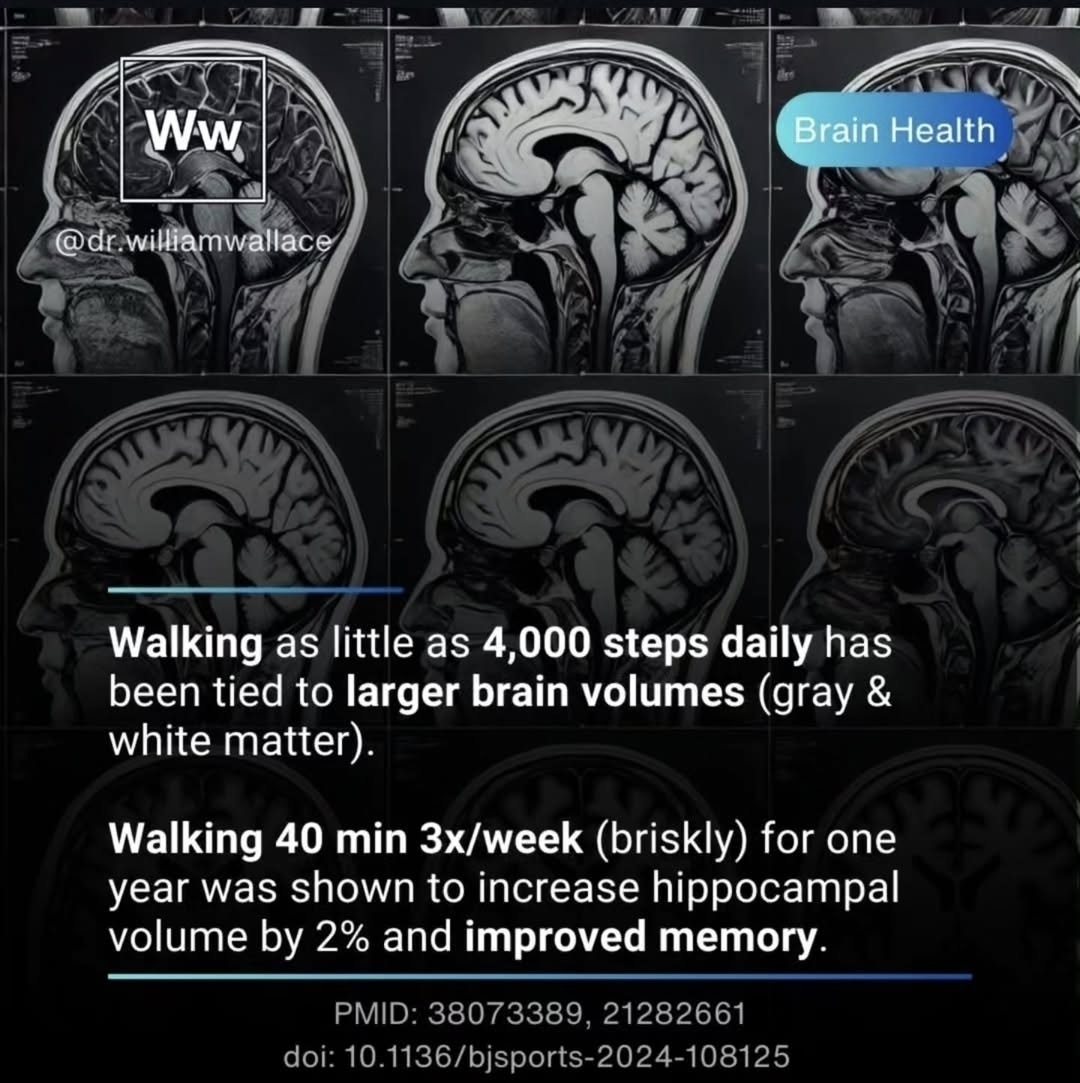 Physical activity is the most effective intervention available for promoting brain health and longevity. Recent research demonstrates that regular exercise, even in modest amounts, is effective for enhancing brain volume, improving memory, and reducing the risk of