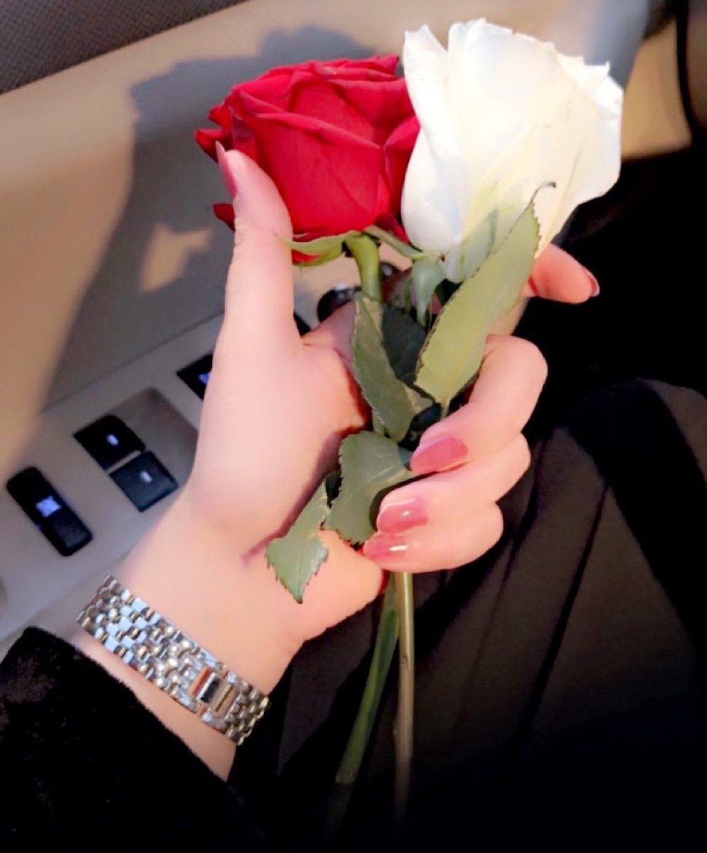 مساء الخير 🌹

تحبوني ولا تحبون الورد ؟؟😊🌸