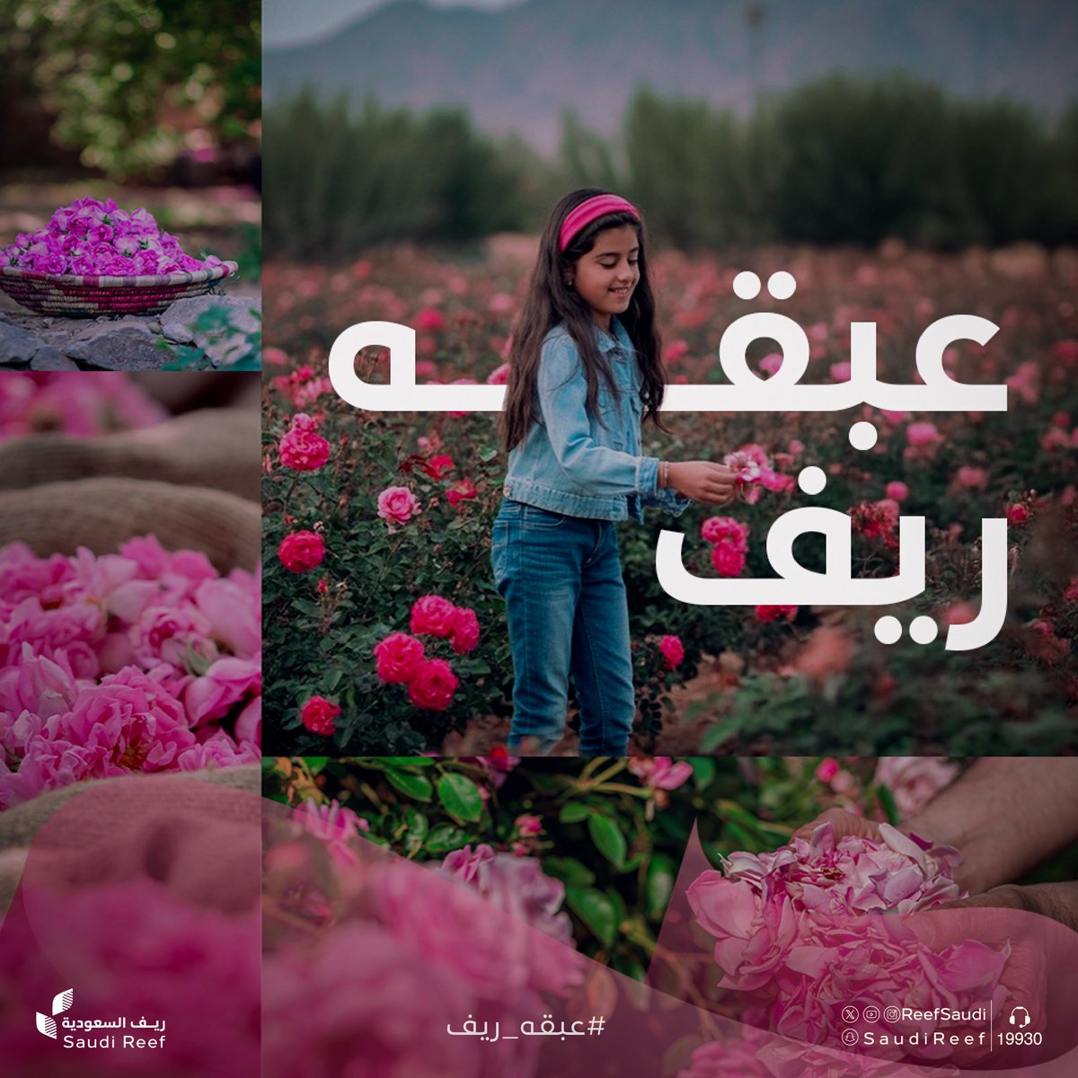 ريف السعودية tweet media