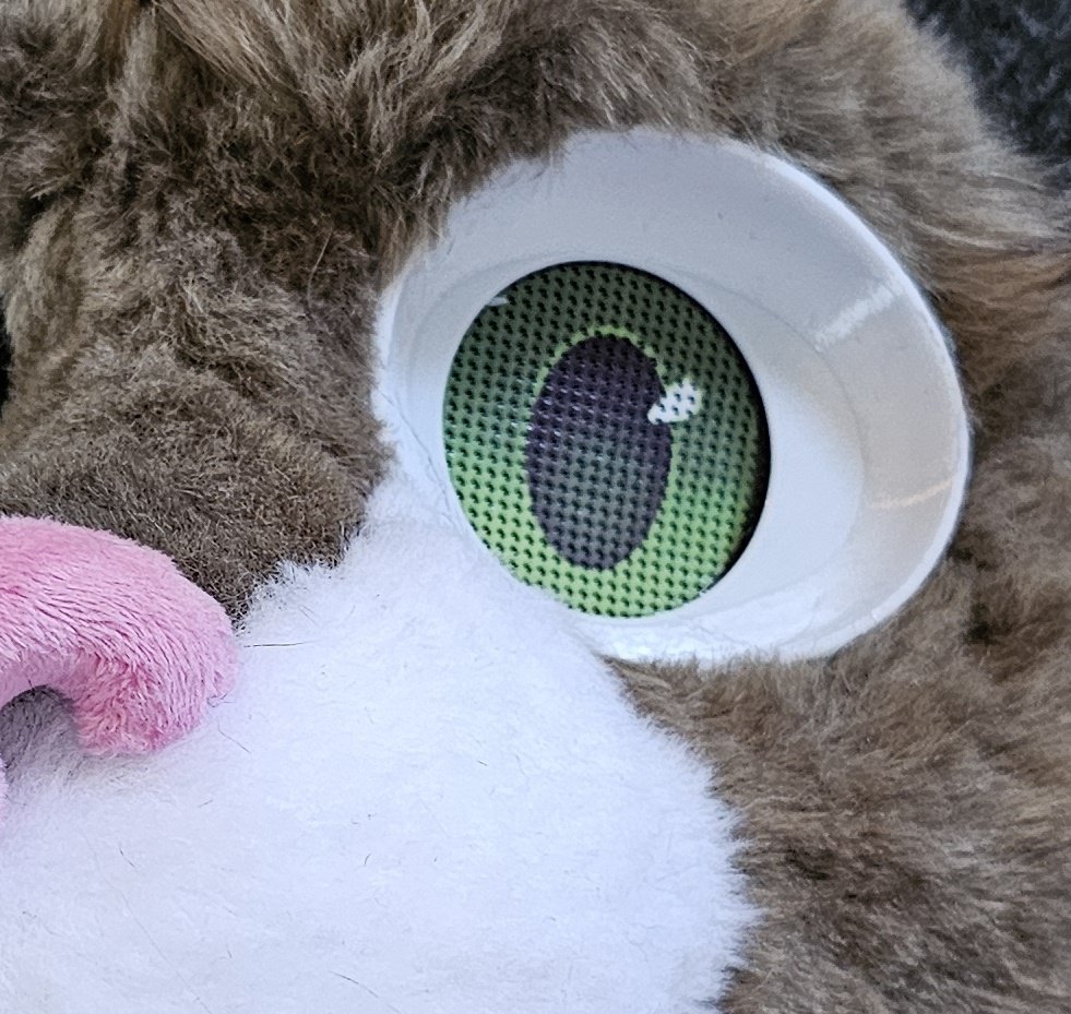 Tuna (Banjo Heeler)🔜Anthrocon tweet media