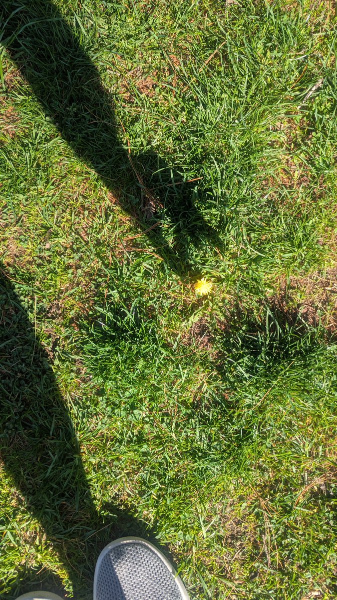 Mydhili Bayyapunedi tweet media