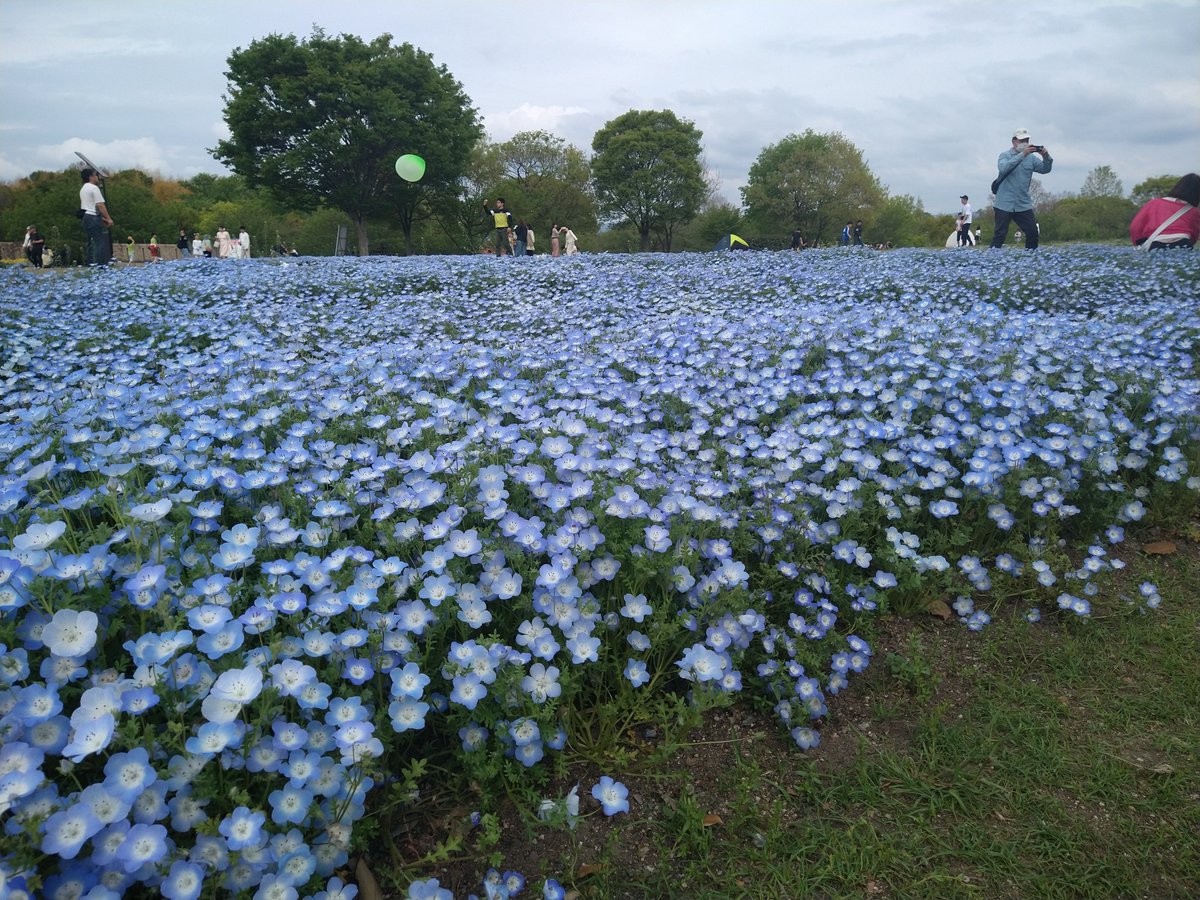 Sunutan (すぬたん) tweet media