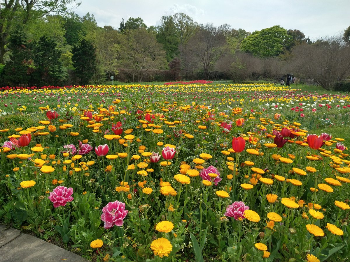 Sunutan (すぬたん) tweet media